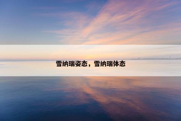 雪纳瑞姿态，雪纳瑞体态