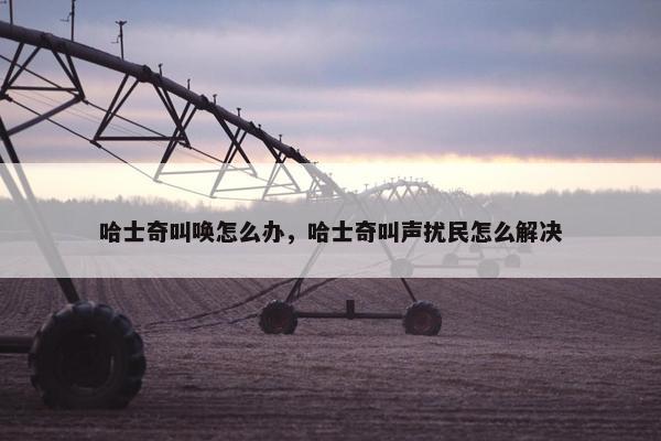 哈士奇叫唤怎么办，哈士奇叫声扰民怎么解决