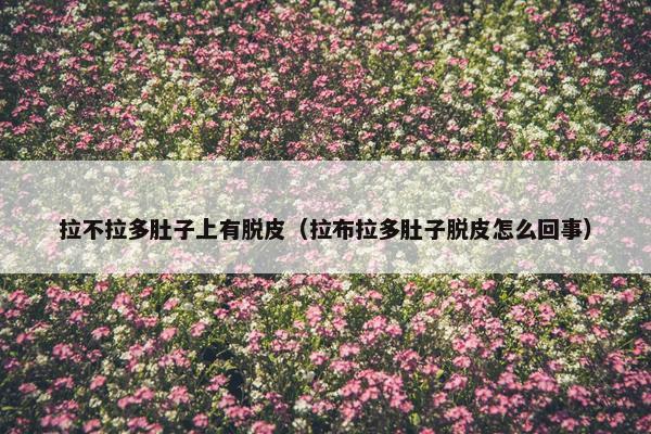 拉不拉多肚子上有脱皮（拉布拉多肚子脱皮怎么回事）