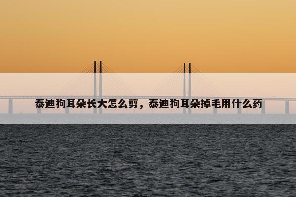 泰迪狗耳朵长大怎么剪，泰迪狗耳朵掉毛用什么药