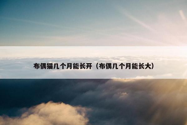 布偶猫几个月能长开（布偶几个月能长大）