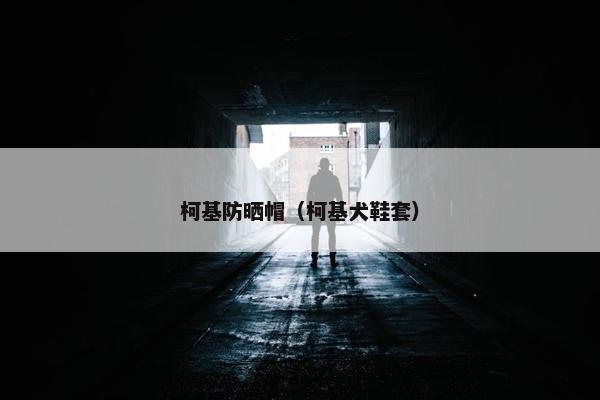 柯基防晒帽（柯基犬鞋套）
