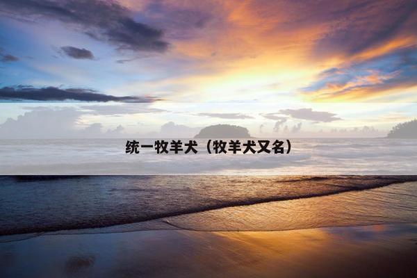 统一牧羊犬（牧羊犬又名）