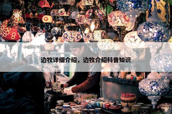 边牧详细介绍，边牧介绍科普知识