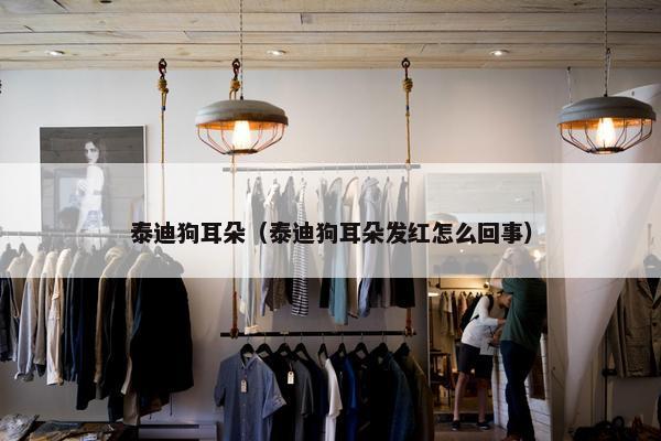 泰迪狗耳朵（泰迪狗耳朵发红怎么回事）