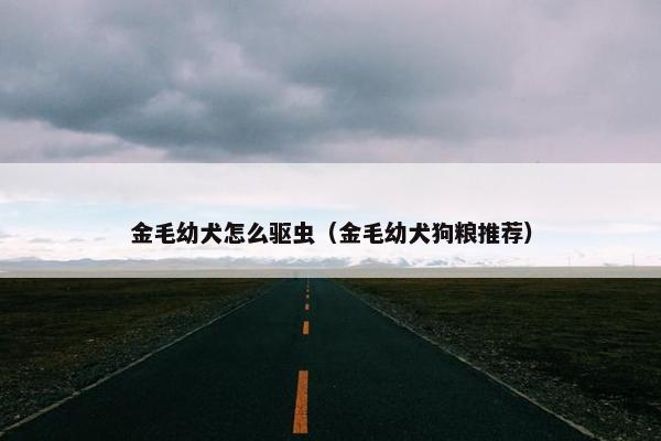 金毛幼犬怎么驱虫（金毛幼犬狗粮推荐）