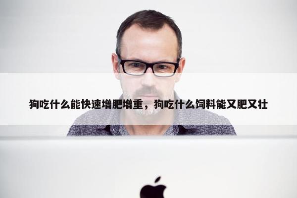 狗吃什么能快速增肥增重，狗吃什么饲料能又肥又壮