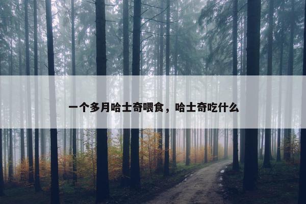 一个多月哈士奇喂食，哈士奇吃什么