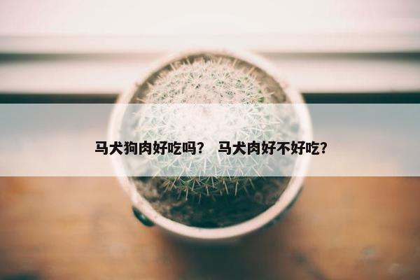 马犬狗肉好吃吗？ 马犬肉好不好吃？