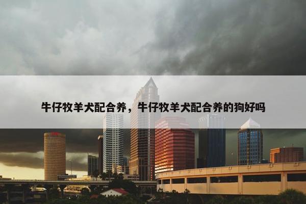 牛仔牧羊犬配合养，牛仔牧羊犬配合养的狗好吗