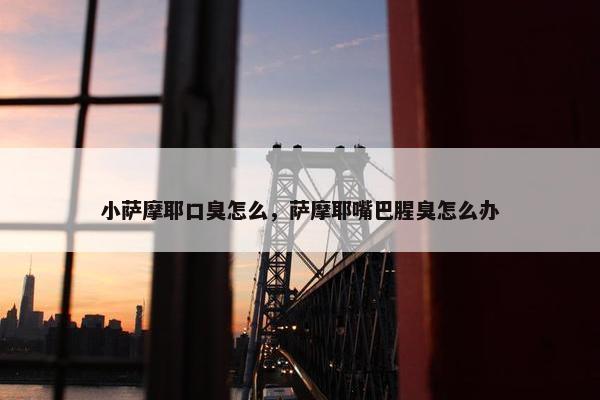 小萨摩耶口臭怎么，萨摩耶嘴巴腥臭怎么办