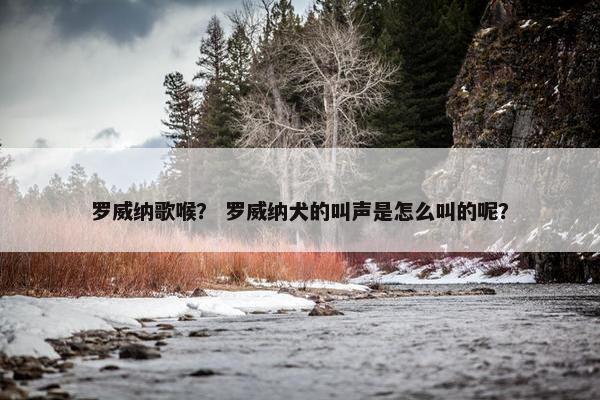 罗威纳歌喉？ 罗威纳犬的叫声是怎么叫的呢？