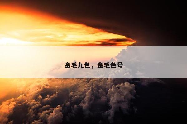金毛九色，金毛色号