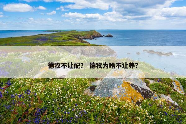 德牧不让配？ 德牧为啥不让养？