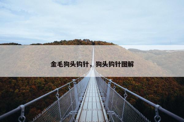 金毛狗头钩针，狗头钩针图解