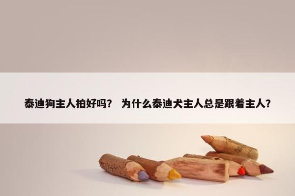 泰迪狗主人拍好吗？ 为什么泰迪犬主人总是跟着主人？