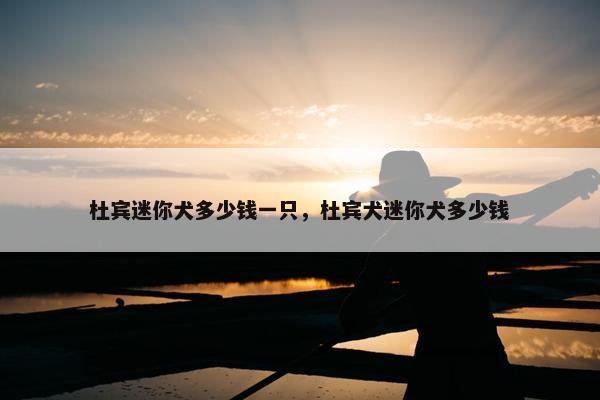 杜宾迷你犬多少钱一只，杜宾犬迷你犬多少钱