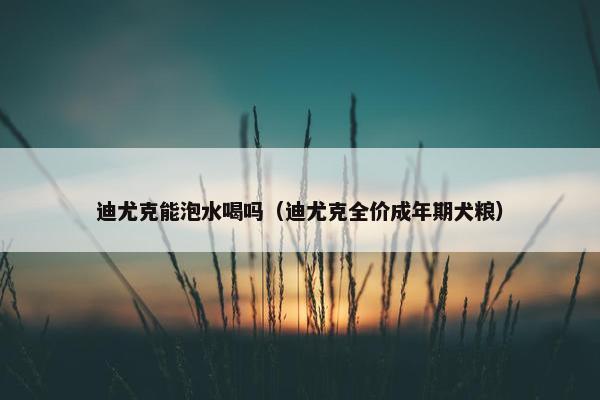 迪尤克能泡水喝吗（迪尤克全价成年期犬粮）