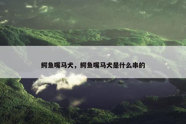 鳄鱼嘴马犬，鳄鱼嘴马犬是什么串的