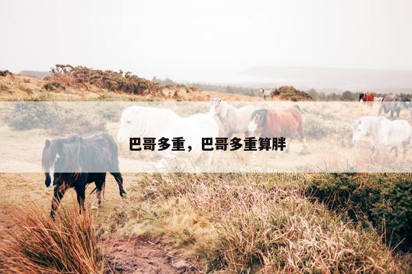 巴哥多重，巴哥多重算胖