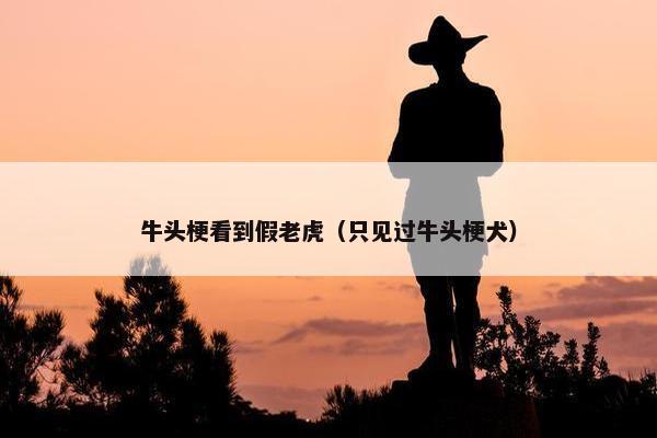 牛头梗看到假老虎（只见过牛头梗犬）