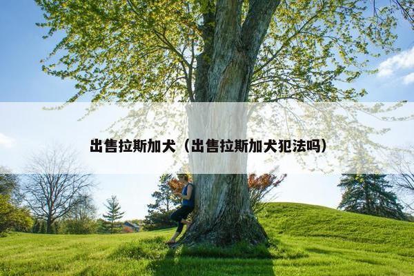 出售拉斯加犬（出售拉斯加犬犯法吗）