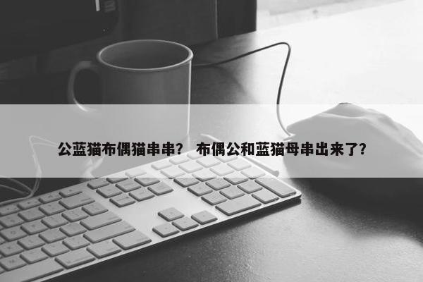 公蓝猫布偶猫串串？ 布偶公和蓝猫母串出来了？