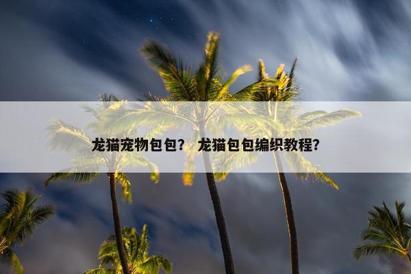 龙猫宠物包包？ 龙猫包包编织教程？