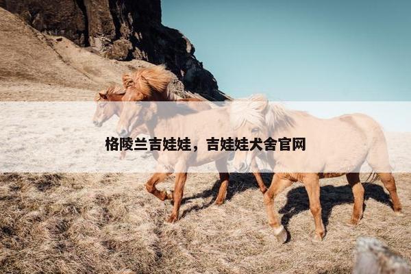 格陵兰吉娃娃，吉娃娃犬舍官网