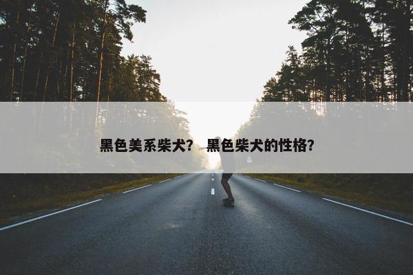 黑色美系柴犬？ 黑色柴犬的性格？