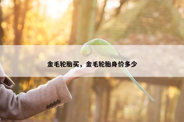 金毛轮胎买，金毛轮胎身价多少