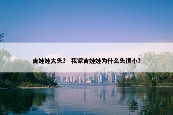 吉娃娃大头？ 我家吉娃娃为什么头很小？