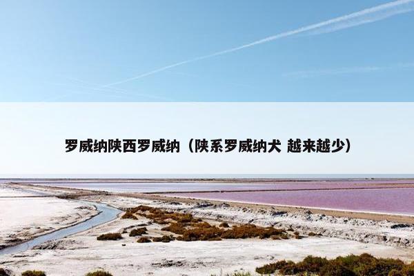罗威纳陕西罗威纳（陕系罗威纳犬 越来越少）