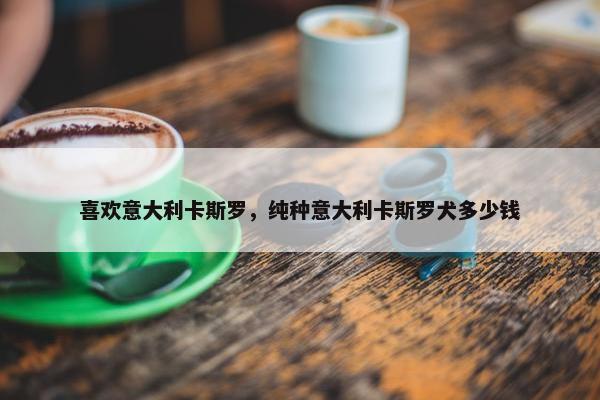 喜欢意大利卡斯罗，纯种意大利卡斯罗犬多少钱