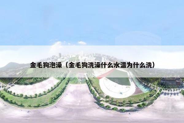 金毛狗泡澡（金毛狗洗澡什么水温为什么洗）