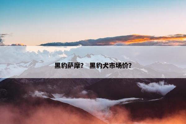 黑豹萨摩？ 黑豹犬市场价？