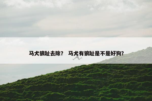 马犬狼趾去除？ 马犬有狼趾是不是好狗？