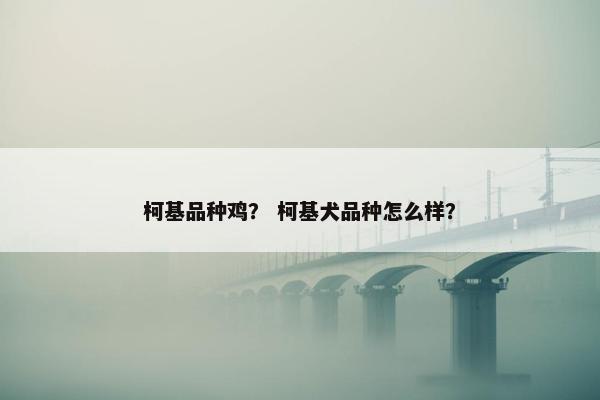 柯基品种鸡？ 柯基犬品种怎么样？