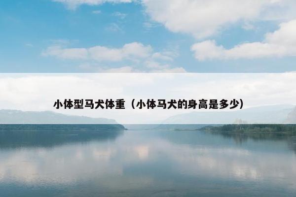 小体型马犬体重（小体马犬的身高是多少）