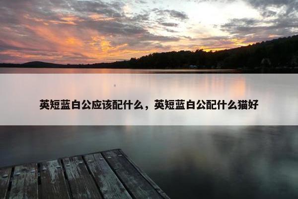 英短蓝白公应该配什么，英短蓝白公配什么猫好
