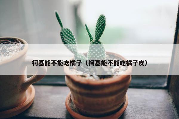 柯基能不能吃橘子（柯基能不能吃橘子皮）