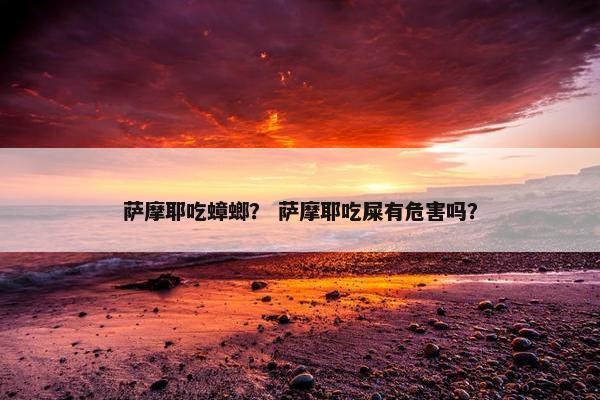 萨摩耶吃蟑螂？ 萨摩耶吃屎有危害吗？