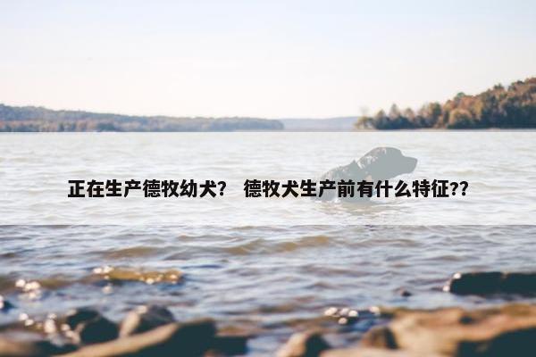 正在生产德牧幼犬？ 德牧犬生产前有什么特征?？