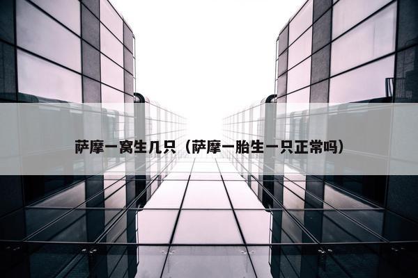 萨摩一窝生几只（萨摩一胎生一只正常吗）