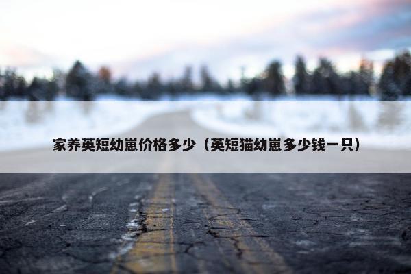 家养英短幼崽价格多少（英短猫幼崽多少钱一只）
