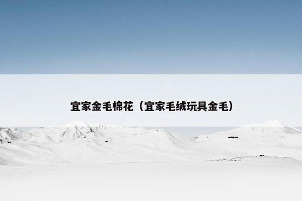 宜家金毛棉花（宜家毛绒玩具金毛）