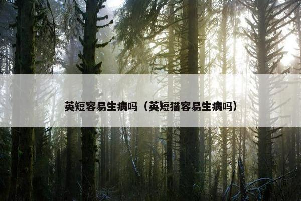 英短容易生病吗（英短猫容易生病吗）