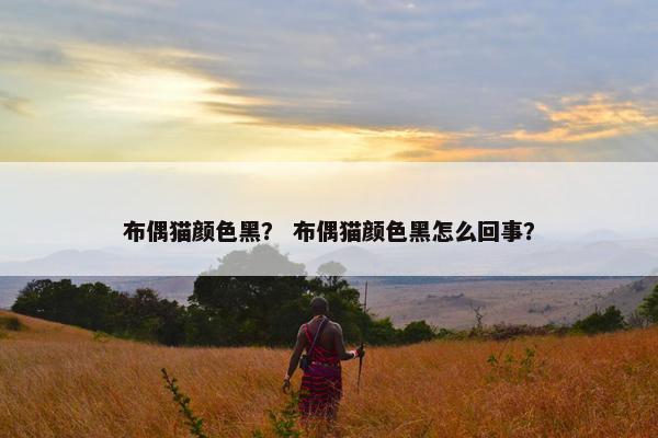 布偶猫颜色黑？ 布偶猫颜色黑怎么回事？