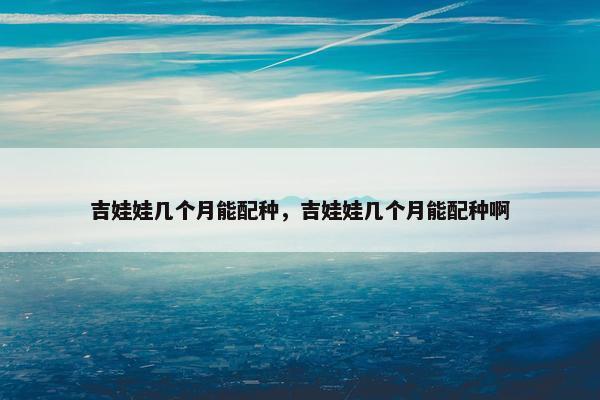 吉娃娃几个月能配种，吉娃娃几个月能配种啊