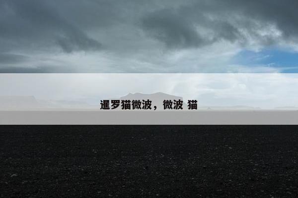 暹罗猫微波，微波 猫